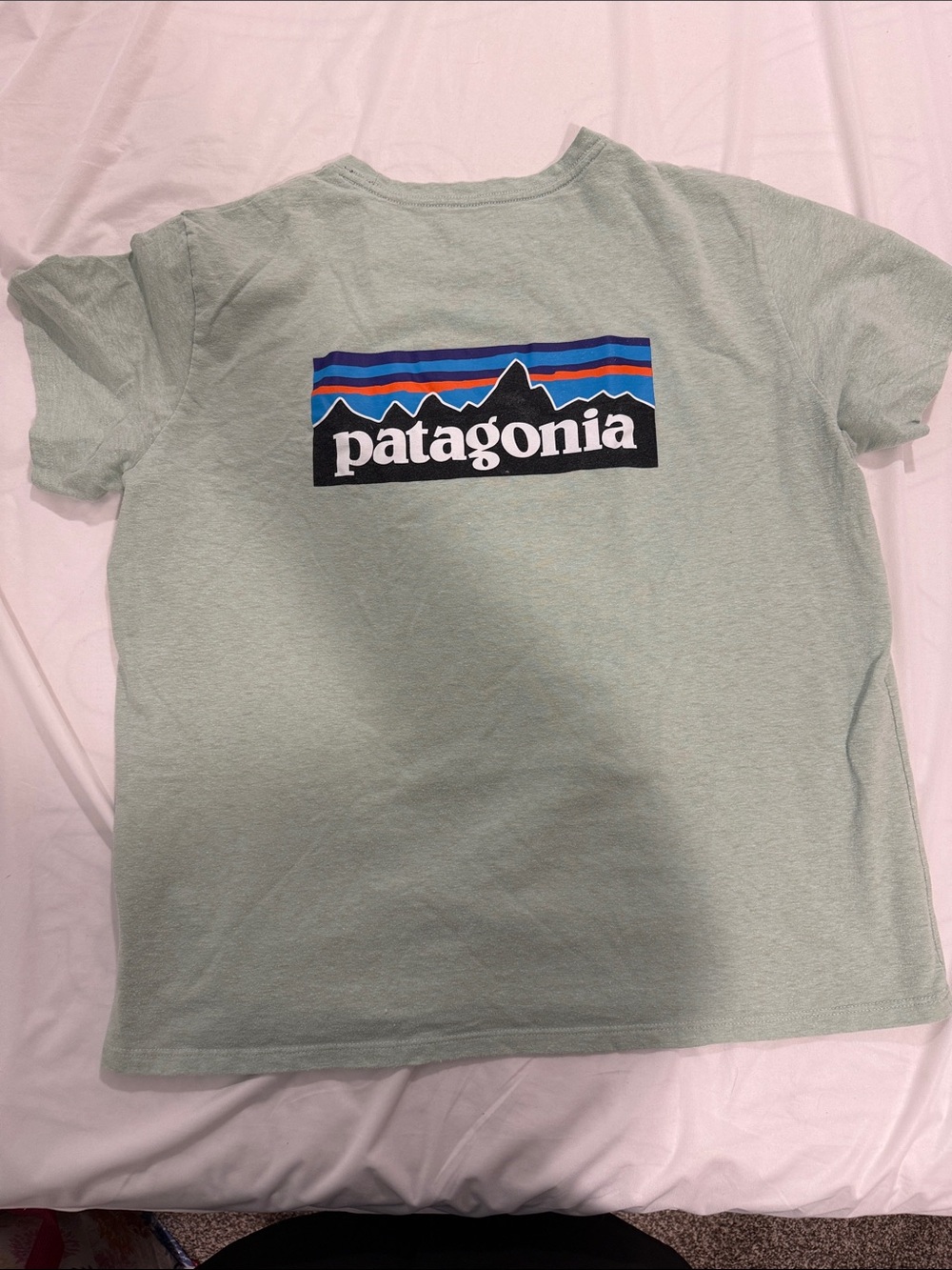 Patagonia Responsible Tee
